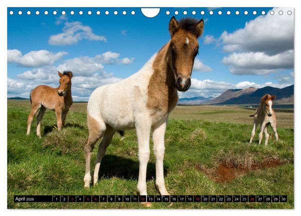 Produktbild: Island (Wandkalender 2026 DIN A4 quer), CALVENDO Monatskalender