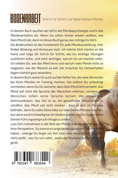Produktbild: Bodenarbeit - Das Fundament