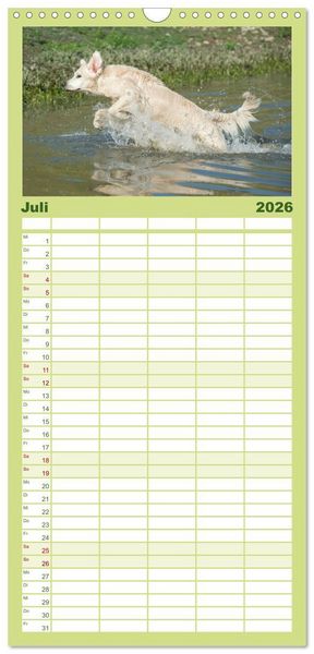 Produktbild: Familienplaner 2026 - Golden Retriever mit 5 Spalten (Wandkalender, 21 x 45 cm) CALVENDO