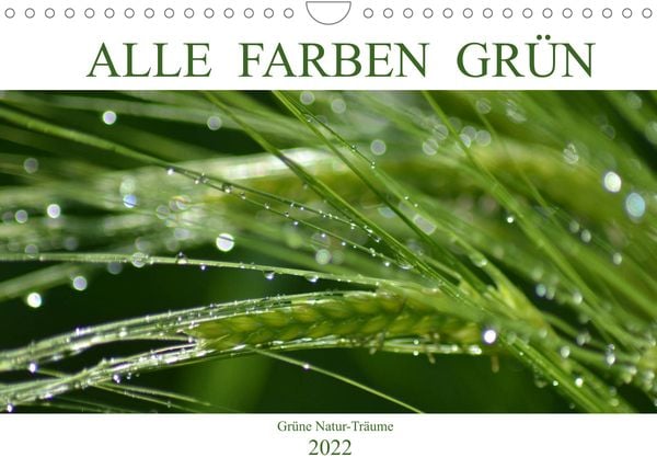 Produktbild: Alle Farben Gr&uuml;n (Wandkalender 2022 DIN A4 quer)