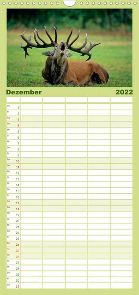 Produktbild: Familienplaner Tiere des Waldes (Wandkalender 2022 , 21 cm x 45 cm, hoch)