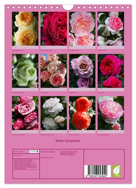 Produktbild: Rosen Symphonie (Wandkalender 2026 DIN A4 hoch), CALVENDO Monatskalender