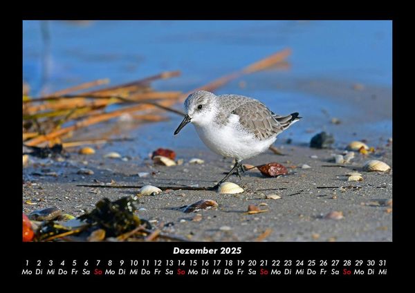 Produktbild: Nordsee 2025 Fotokalender DIN A3