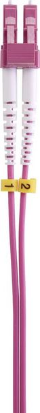 Produktbild: Renkforce RF-4969080 Glasfaser LWL Anschlusskabel 3.00 m Purpur-Rot [1x LC-Stecker - 1x LC-Stecker] 50/125 &micro; Multimode OM4