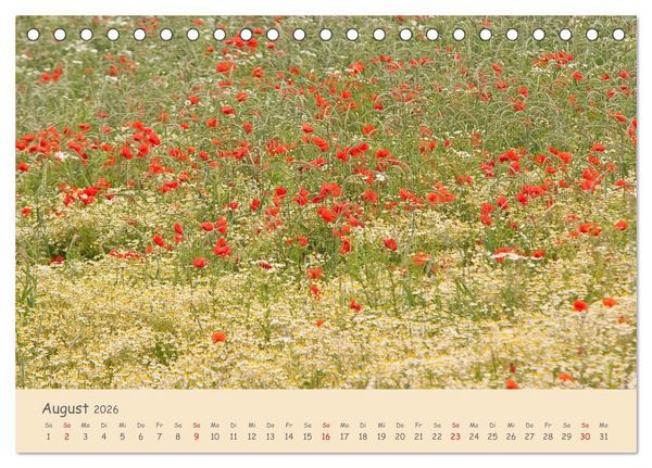 Produktbild: Mohnblumen - rote Sch&ouml;nheiten (Tischkalender 2026 DIN A5 quer), CALVENDO Monatskalender