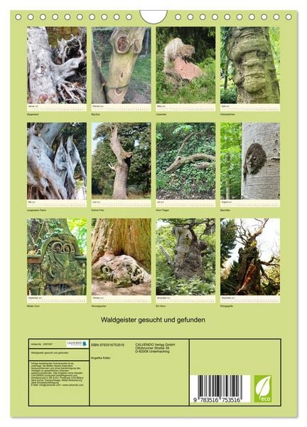 Produktbild: Waldgeister gesucht und gefunden (Wandkalender 2027 DIN A4 hoch), CALVENDO Monatskalender