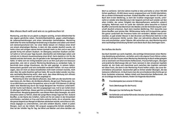 Produktbild: Mentoring - Das Praxisbuch