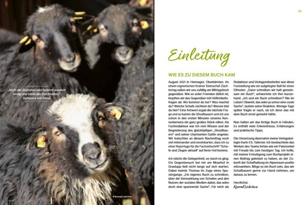 Produktbild: Alles vom Schaf!