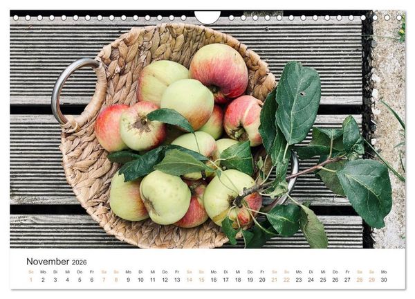 Produktbild: K&uuml;chenkalender - lecker durch dieses Jahr (Wandkalender 2026 DIN A4 quer), CALVENDO Monatskalender