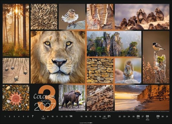 Produktbild: Colours of Nature Kalender 2027
