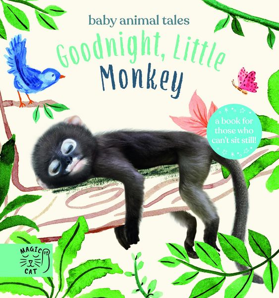 Produktbild: Goodnight, Little Monkey