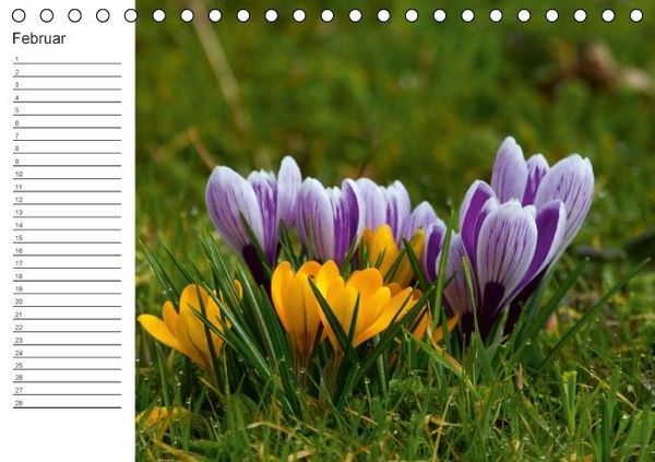 Produktbild: Ich denk an Dich ... Pers&ouml;nlicher Terminkalender (Tischkalender immerw&auml;hrend DIN A5 quer)