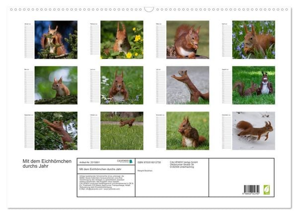 Produktbild: Mit dem Eichh&ouml;rnchen durchs Jahr (Wandkalender 2026 DIN A2 quer), CALVENDO Monatskalender