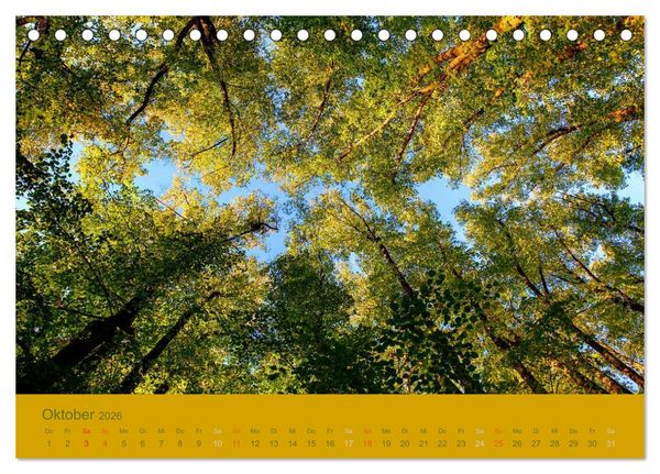Produktbild: Gartenfl&uuml;stern (Tischkalender 2026 DIN A5 quer), CALVENDO Monatskalender