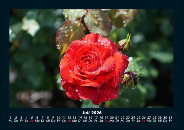 Produktbild: Blumenkalender 2026 Fotokalender DIN A4