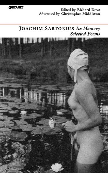 Produktbild: Ice Memory: Selected Poems