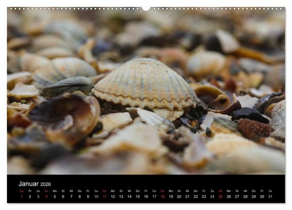 Produktbild: NORDSEE IMPRESSIONEN (Wandkalender 2026 DIN A2 quer), CALVENDO Monatskalender