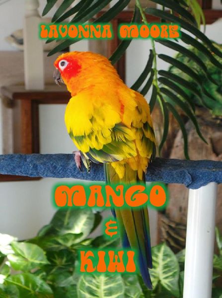 Produktbild: Mango & Kiwi