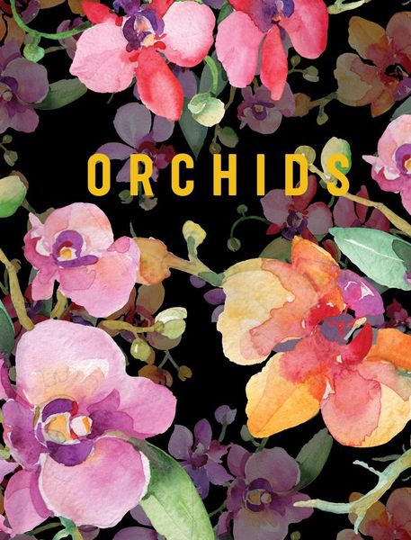 Produktbild: Orchids