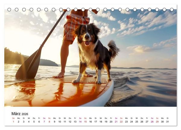 Produktbild: Stand up paddling - SUP (Tischkalender 2026 DIN A5 quer), CALVENDO Monatskalender