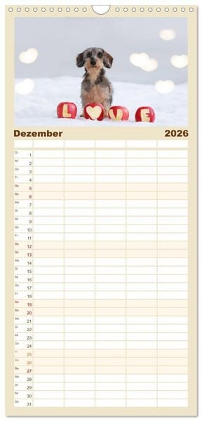 Produktbild: Familienplaner 2026 - Der Dackel mit 5 Spalten (Wandkalender, 21 x 45 cm) CALVENDO