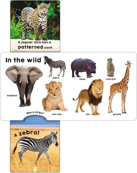 Produktbild: Animals (Slide & Surprise!)