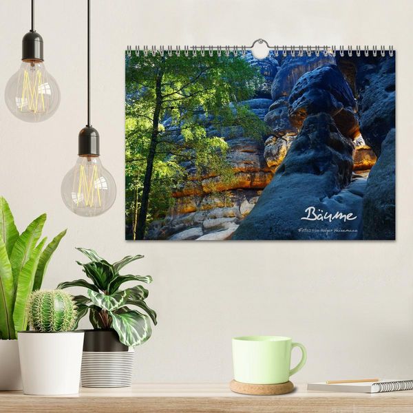 Produktbild: B&auml;ume (Wandkalender 2026 DIN A4 quer), CALVENDO Monatskalender