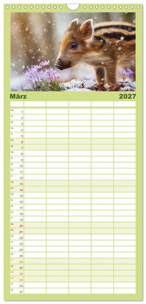 Produktbild: Familienplaner 2027 - Waldgefl&uuml;ster mit 5 Spalten (Wandkalender, 21 x 45 cm) CALVENDO