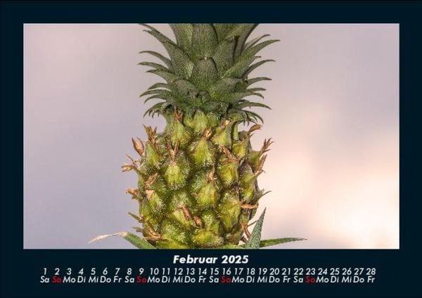 Produktbild: Obstkalender 2025 Fotokalender DIN A5