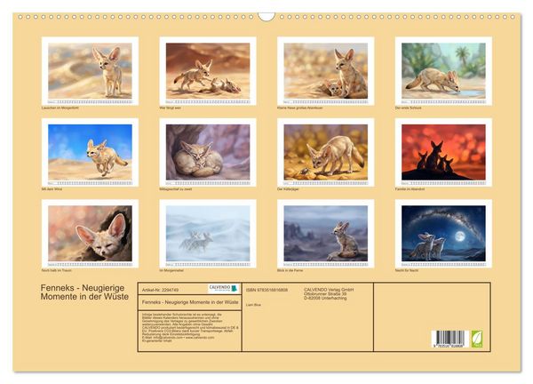 Produktbild: Fenneks - Neugierige Momente in der W&uuml;ste (Wandkalender 2027 DIN A2 quer), CALVENDO Monatskalender