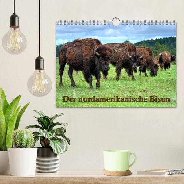 Produktbild: Der nordamerikanische Bison (Wandkalender 2026 DIN A4 quer), CALVENDO Monatskalender