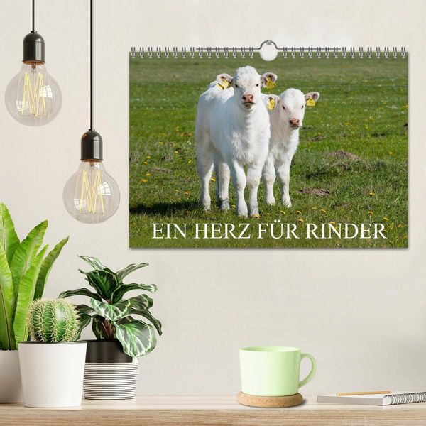 Produktbild: Ein Herz f&uuml;r Rinder (Wandkalender 2026 DIN A4 quer), CALVENDO Monatskalender