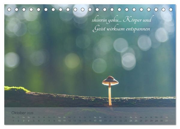 Produktbild: Shinrin yoku - Waldbaden 2026 (Tischkalender 2026 DIN A5 quer), CALVENDO Monatskalender