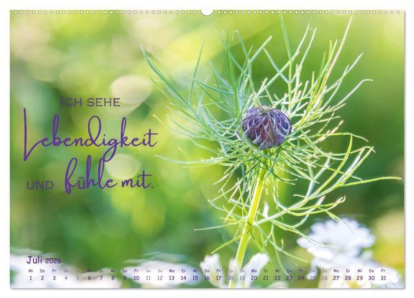 Produktbild: Weibliche Kraft - 12 Impulse zu deiner Wirksamkeit als Frau (hochwertiger Premium Wandkalender 2026 DIN A2 quer), Kunstdruck in Hochglanz