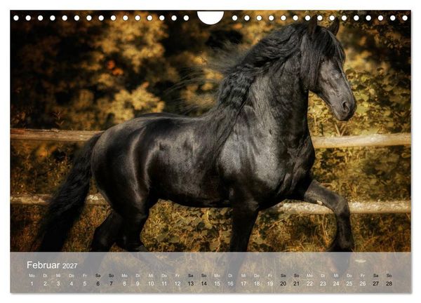 Produktbild: Pferde - Anmut und St&auml;rke gepaart mit Magie (Wandkalender 2027 DIN A4 quer), CALVENDO Monatskalender