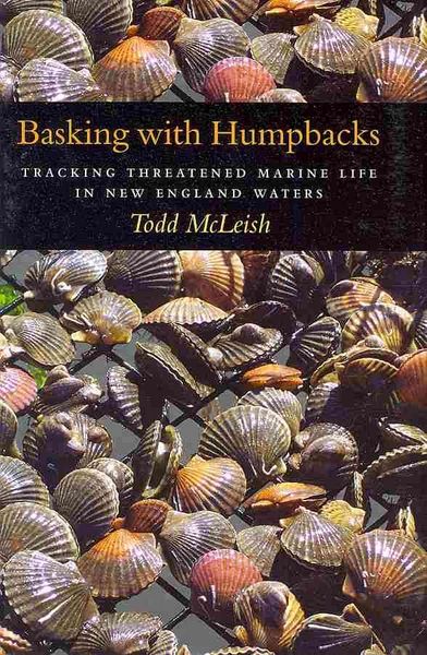 Produktbild: Basking W/humpbacks