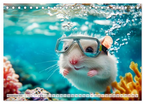 Produktbild: Hamster auf Reisen (Tischkalender 2026 DIN A5 quer), CALVENDO Monatskalender