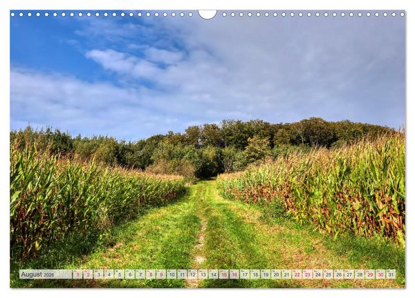 Produktbild: Idyllische Wanderwege im Bergischen Land (Wandkalender 2026 DIN A3 quer), CALVENDO Monatskalender