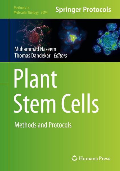 Produktbild: Plant Stem Cells