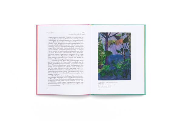 Produktbild: Matisse