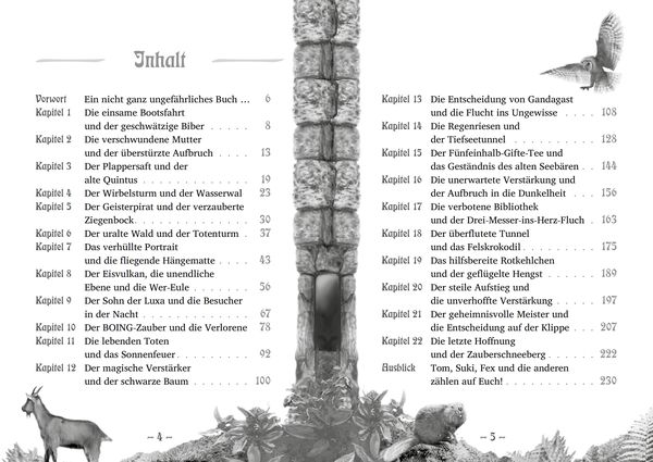 Produktbild: Tom Tolliver und die Zauberkrautinsel