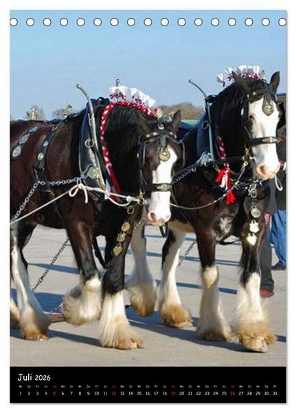 Produktbild: Shire Horse - Geschm&uuml;ckte Riesen (Tischkalender 2026 DIN A5 hoch), CALVENDO Monatskalender