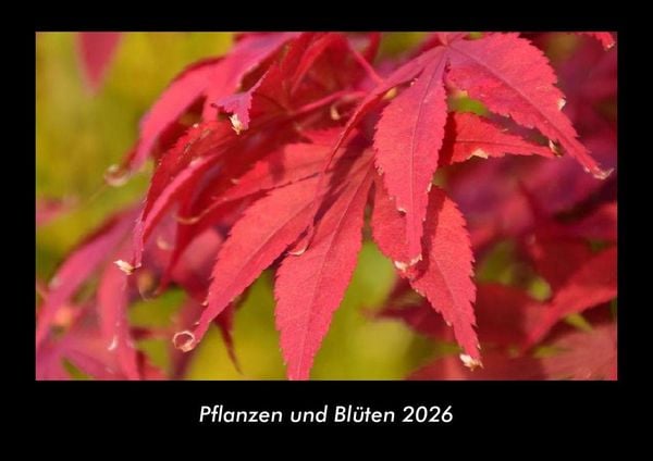 Pflanzen und Blüten 2026 Fotokalender DIN A3
