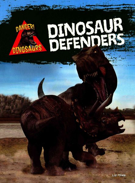 Produktbild: Dinosaur Defenders