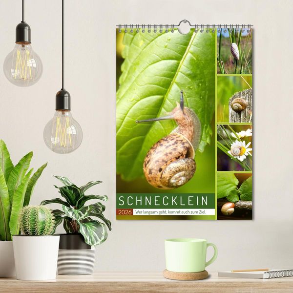 Produktbild: Schnecklein (Wandkalender 2026 DIN A4 hoch), CALVENDO Monatskalender