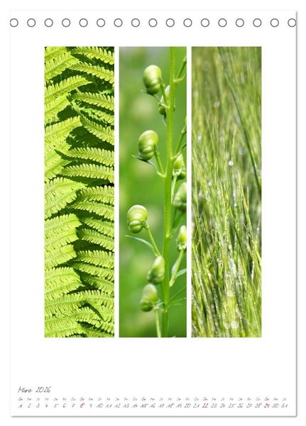 Produktbild: Natur Farben Dreiklang (Tischkalender 2026 DIN A5 hoch), CALVENDO Monatskalender