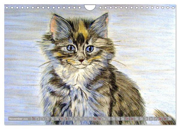 Produktbild: Beautiful cat portraits (Wall Calendar 2026 DIN A4 landscape), CALVENDO 12 Month Wall Calendar