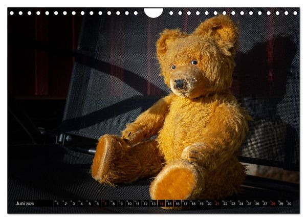 Produktbild: Neue Abenteuer von Teddy Basse (Wandkalender 2026 DIN A4 quer), CALVENDO Monatskalender