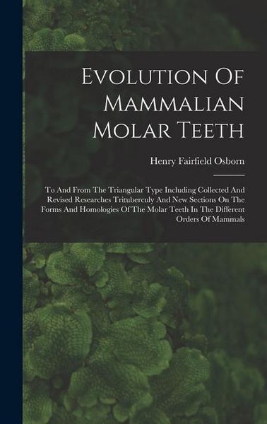 Produktbild: Evolution Of Mammalian Molar Teeth: To And From The Triangular Type Including Collected And Revised Researches Trituberculy And New Sections On The Fo