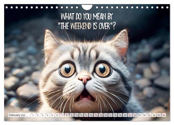 Produktbild: WITTY CATS Cool sayings (Wall Calendar 2026 DIN A4 landscape), CALVENDO 12 Month Wall Calendar